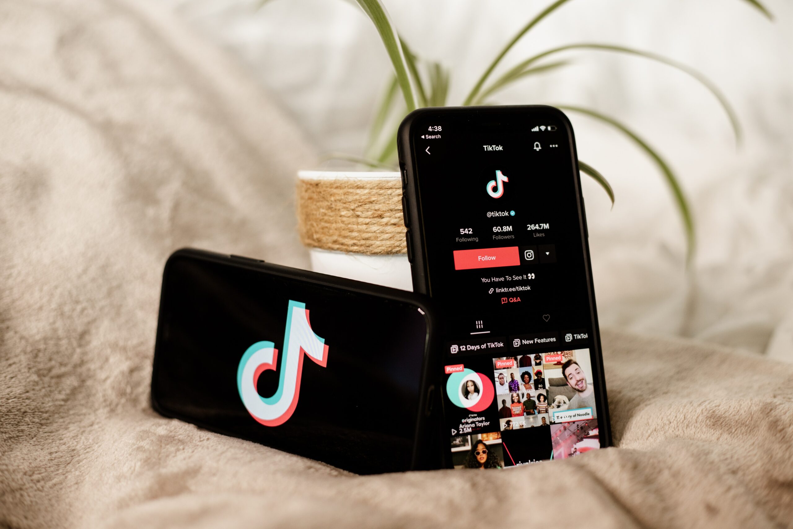 Lights, Camera, TikTok! Creating The Best TikTok Ads In Singapore