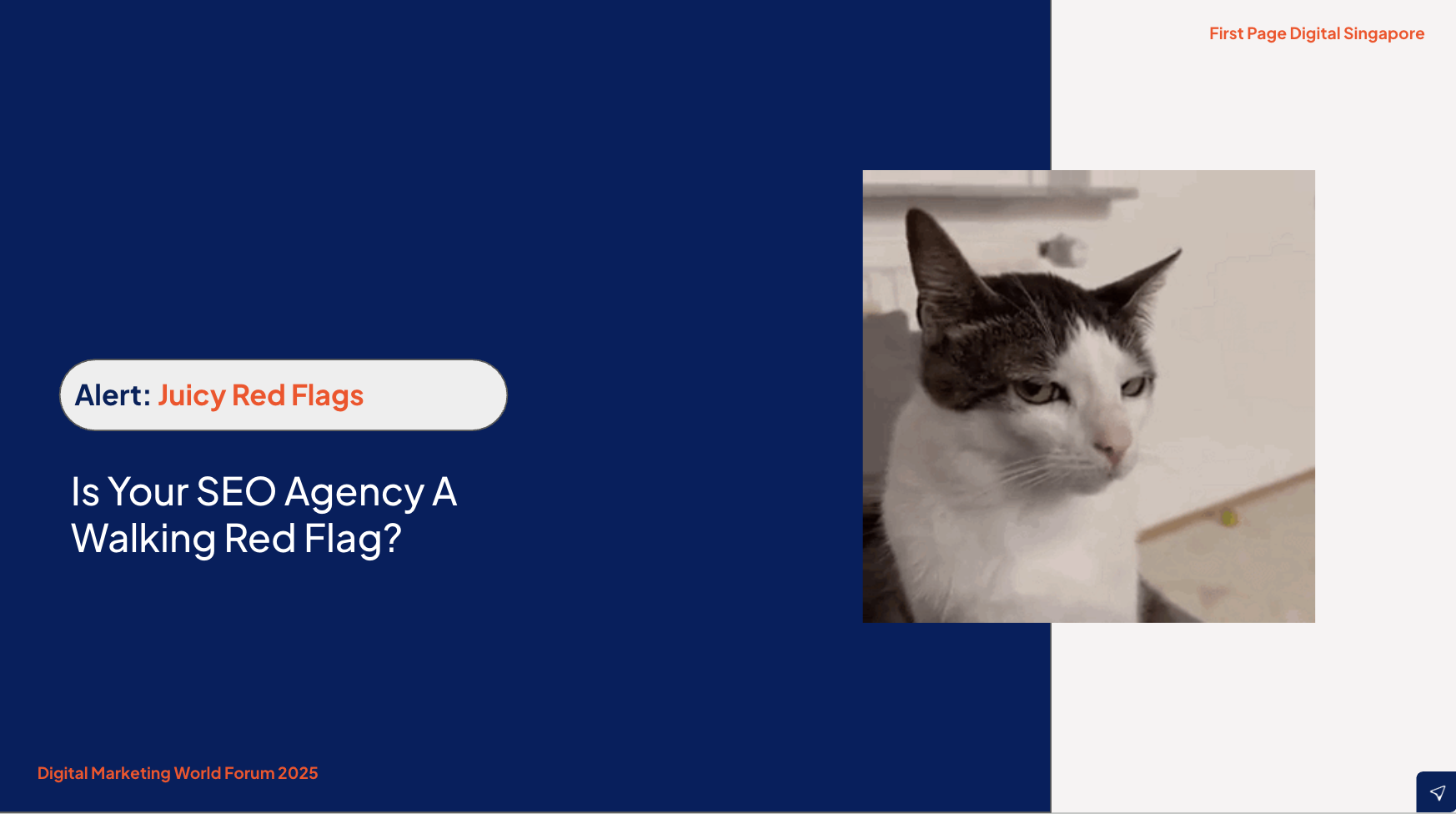 signs that your seo agency uses dubious practices