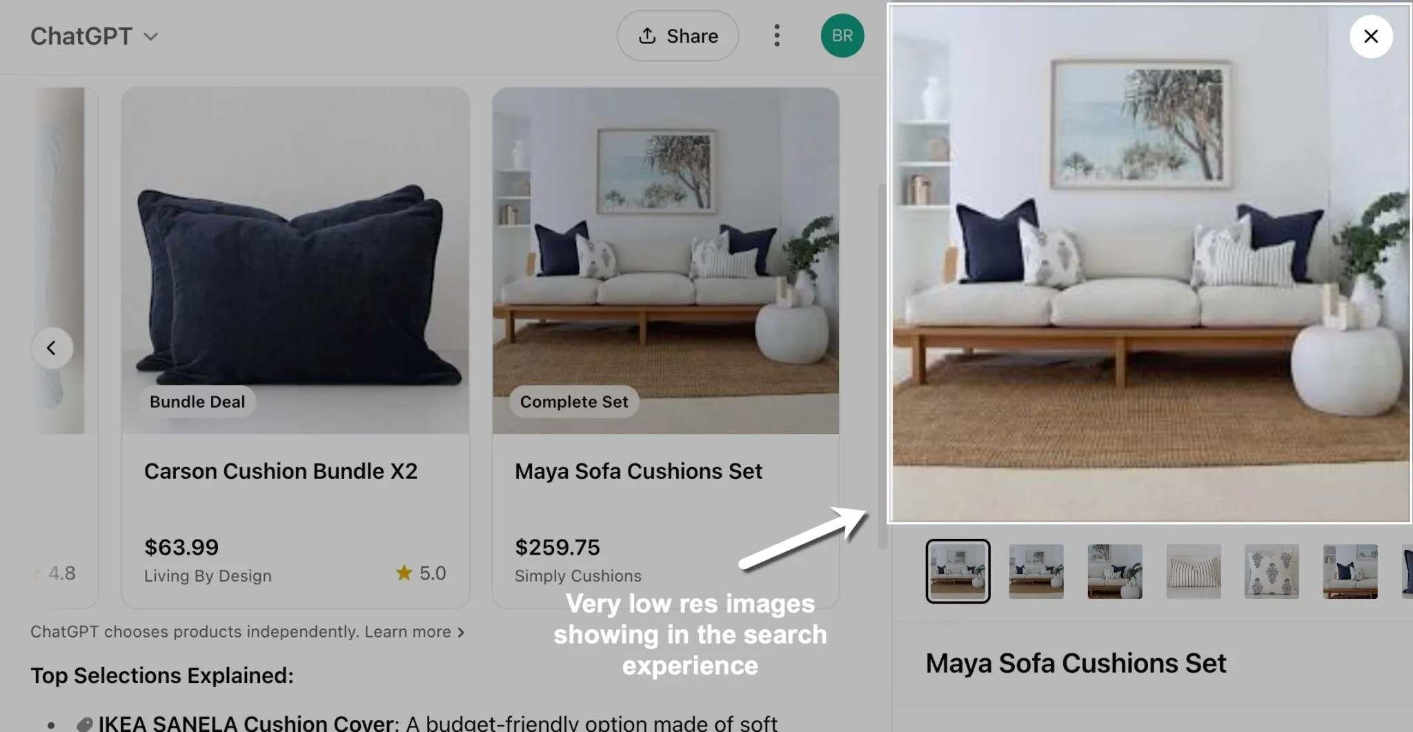 Screenshot on brodieclark.com highlighting the current issues with ChatGPT shopping