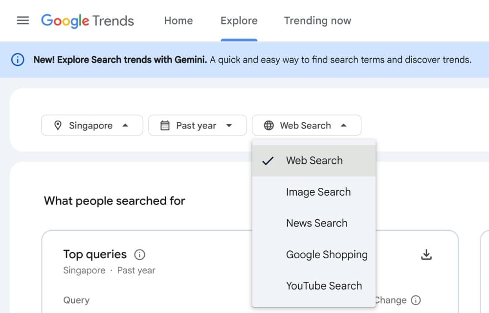 Google Trends search type options